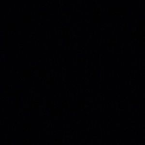 Meet your Posher, Ella